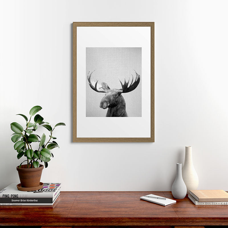 Moose - Black & White Framed Art Print Gallery Image 56