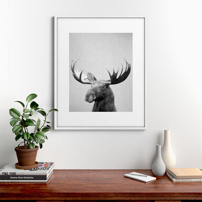 Moose - Black & White Framed Art Print Gallery Image 39