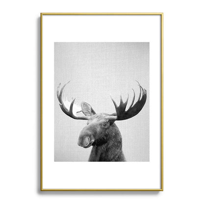 Moose - Black & White Framed Art Print Gallery Image 123