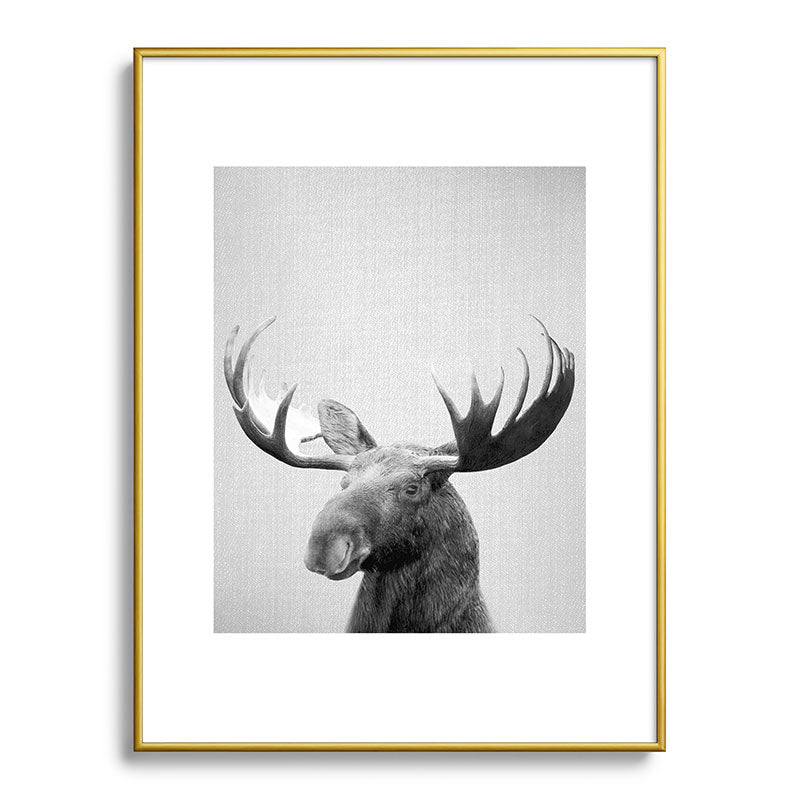 Moose - Black & White Framed Art Print Gallery Image 125