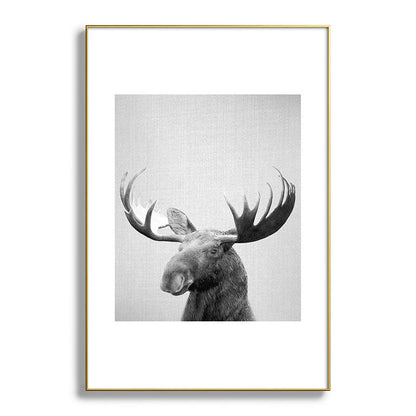Moose - Black & White Framed Art Print Gallery Image 128