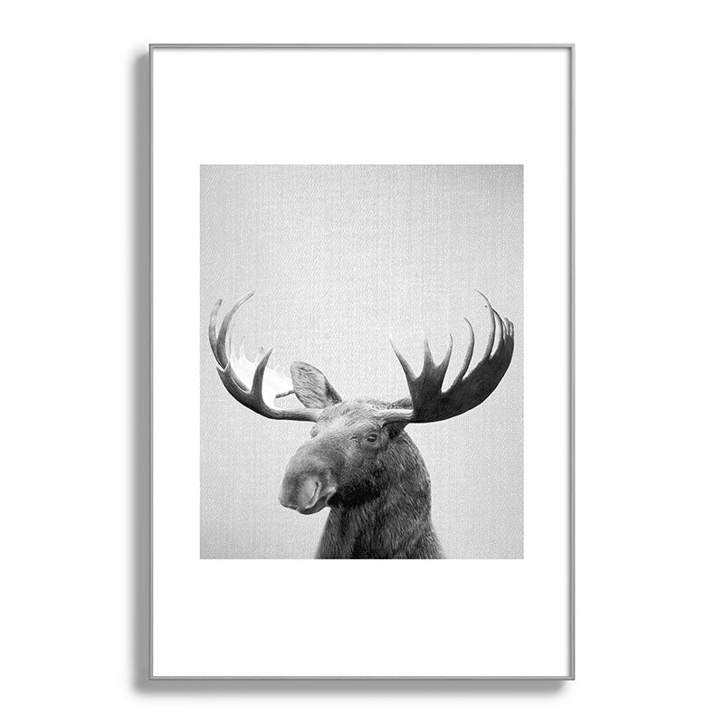 Moose - Black & White Framed Art Print Gallery Image 137