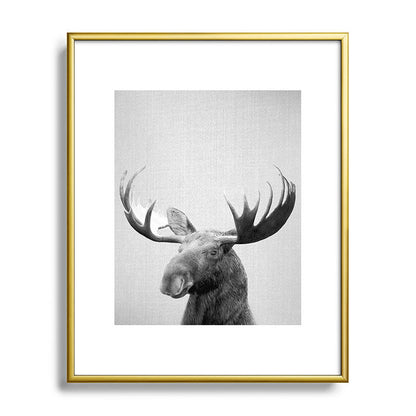 Moose - Black & White Framed Art Print Gallery Image 120