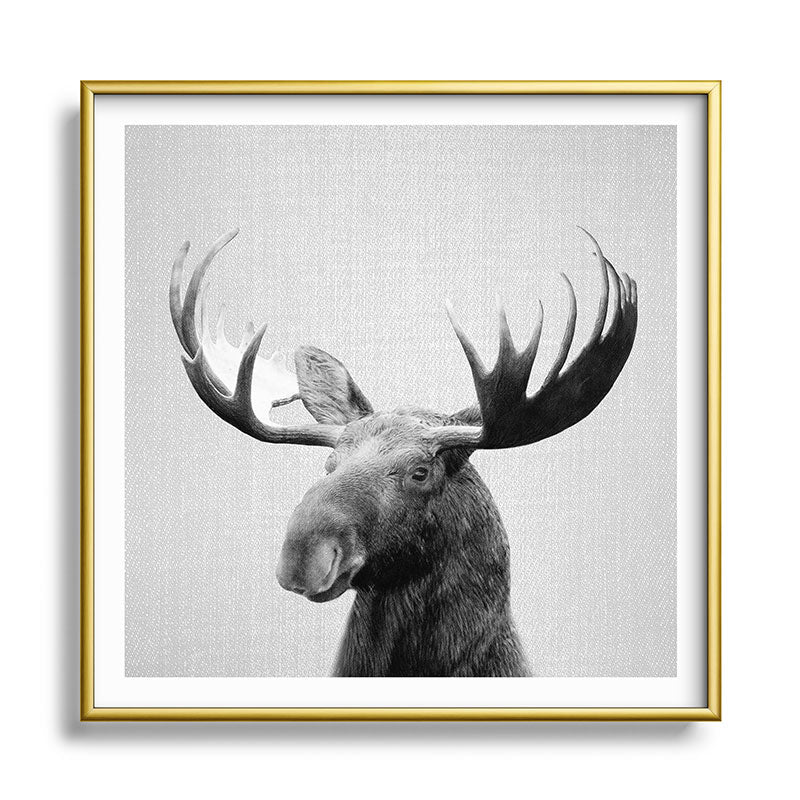 Moose - Black & White Framed Art Print Gallery Image 133