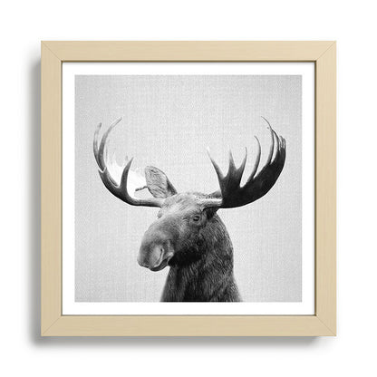 Moose - Black & White Framed Art Print Gallery Image 24
