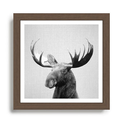 Moose - Black & White Framed Art Print Gallery Image 13