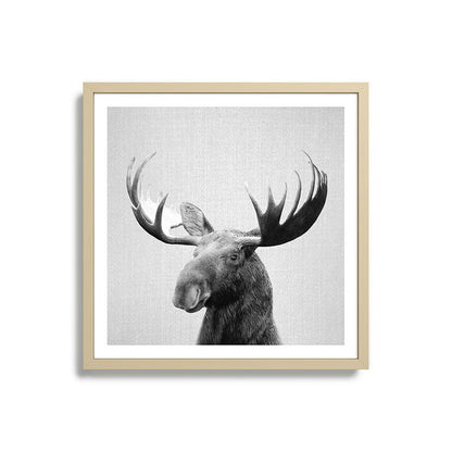 Moose - Black & White Framed Art Print Gallery Image 27