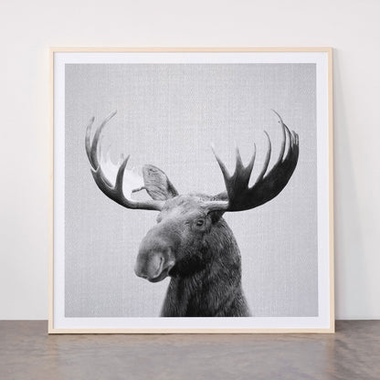 Moose - Black & White Framed Art Print Gallery Image 33