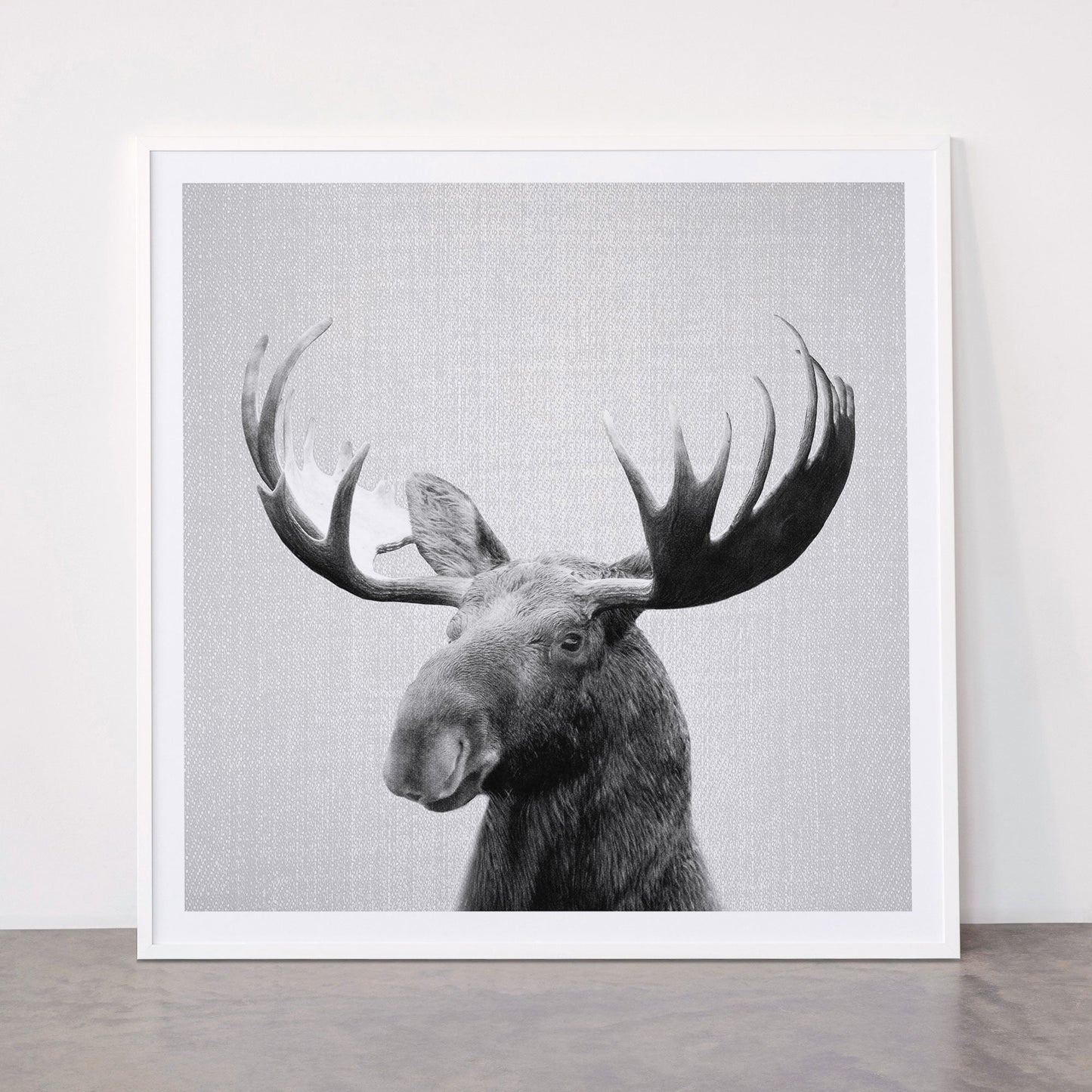 Moose - Black & White Framed Art Print Gallery Image 43