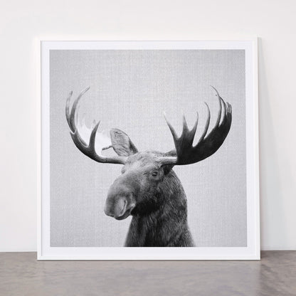 Moose - Black & White Framed Art Print Gallery Image 43
