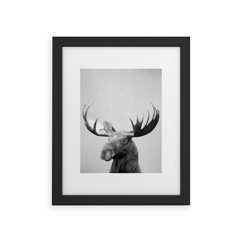 Moose - Black & White Framed Art Print Gallery Image 40