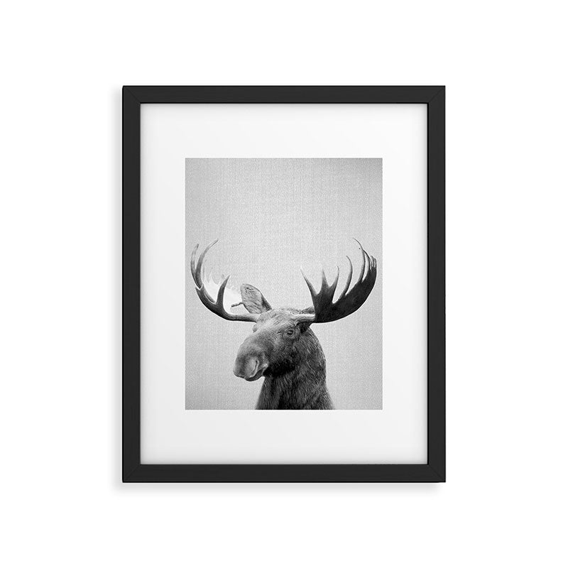 Moose - Black & White Framed Art Print Gallery Image 3