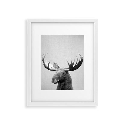 Moose - Black & White Framed Art Print Gallery Image 36