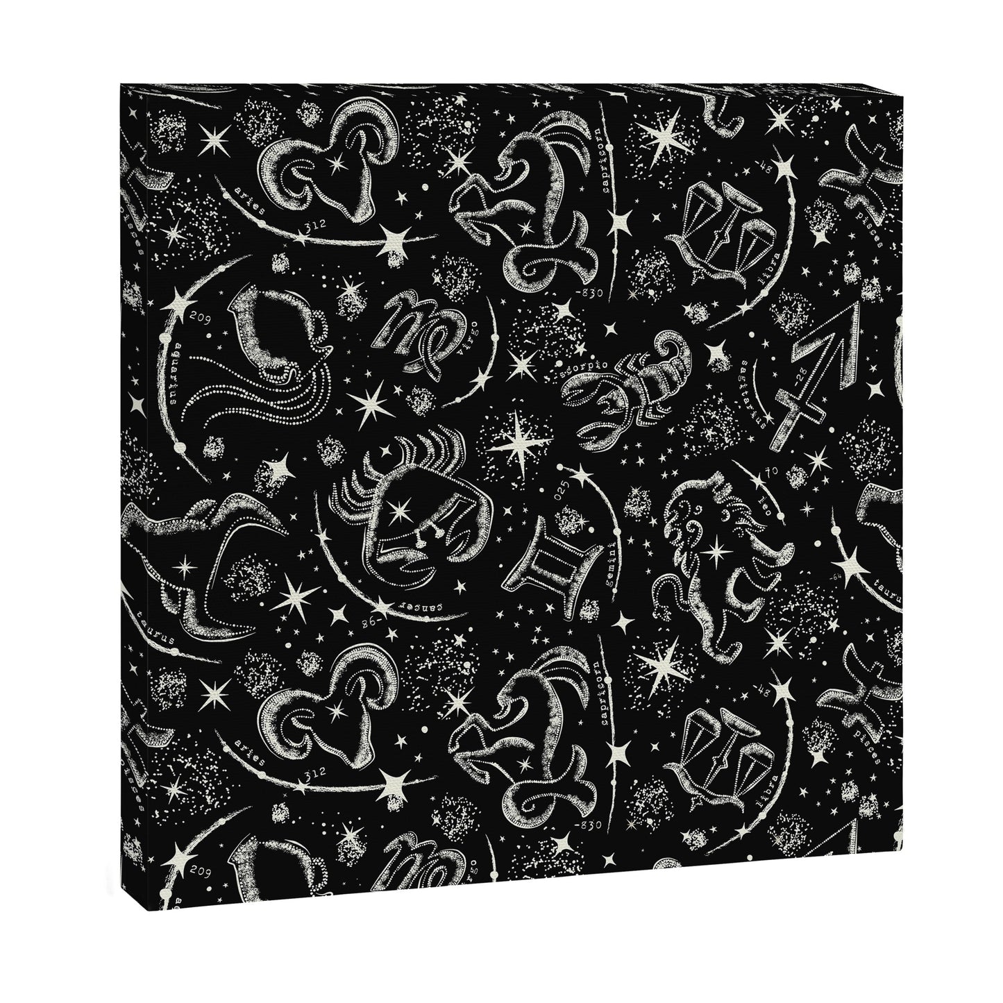 Star Child Canvas Print Gallery Image 6