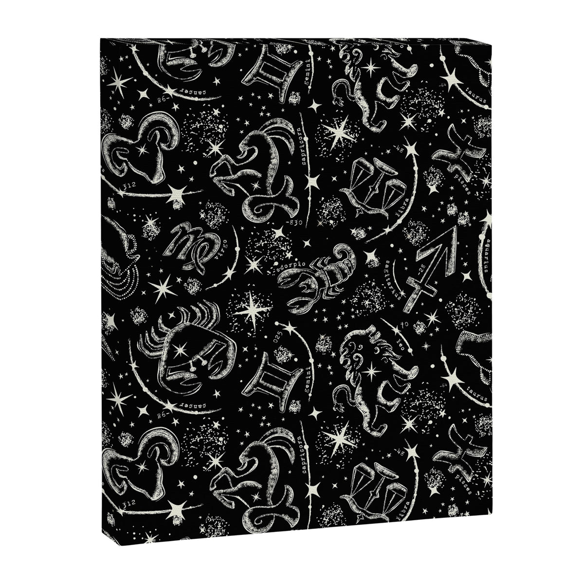 Star Child Canvas Print Gallery Image 3