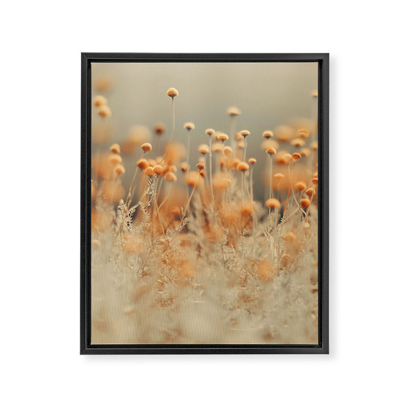 Mustard Yellow Flowers - Flower photography by Ingrid Beddoes Framed Canvas Print Gallery Image 3