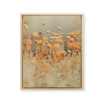 Mustard Yellow Flowers - Flower photography by Ingrid Beddoes Framed Canvas Print Gallery Image 16