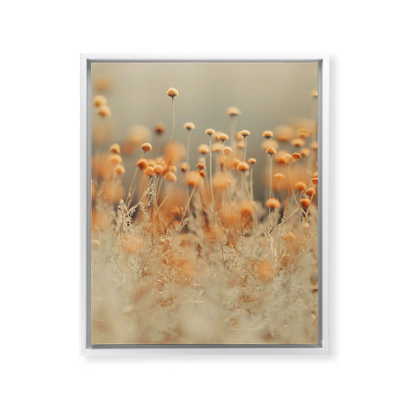 Mustard Yellow Flowers - Flower photography by Ingrid Beddoes Framed Canvas Print Gallery Image 23