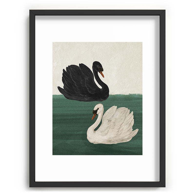 Black Swan White Swan Framed Art Print Gallery Image 35