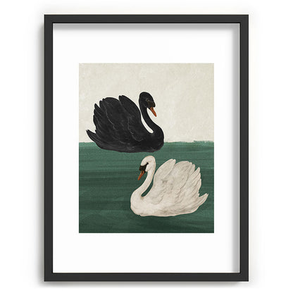Black Swan White Swan Framed Art Print Gallery Image 35