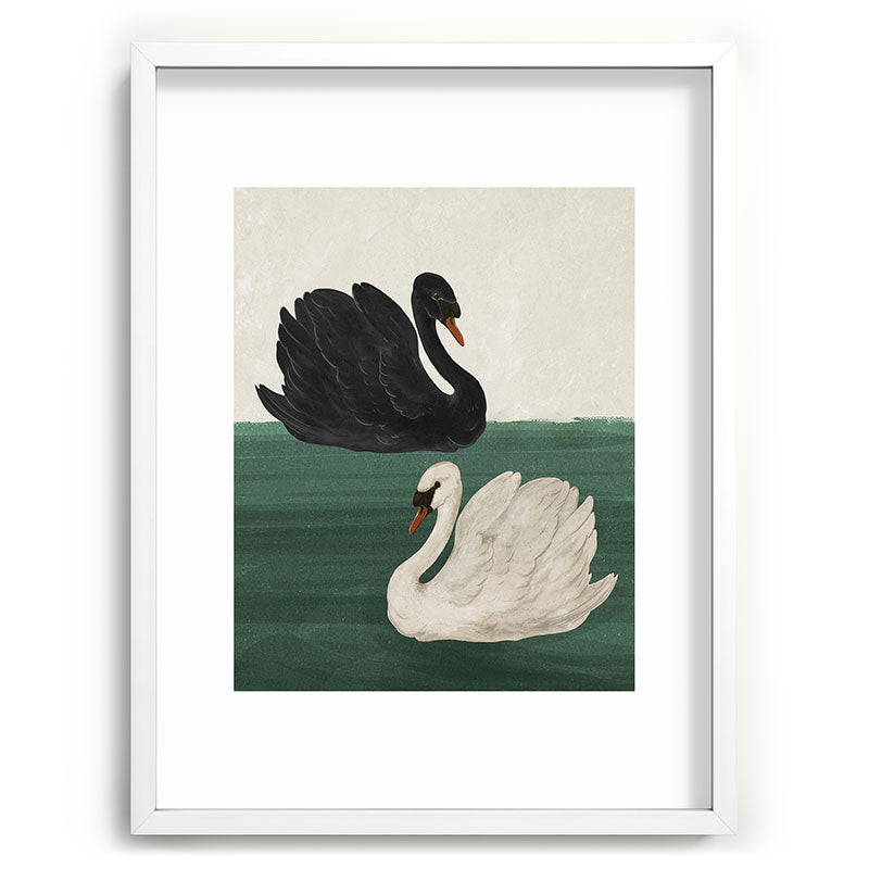 Black Swan White Swan Framed Art Print Gallery Image 47
