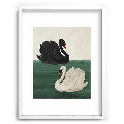 Black Swan White Swan Framed Art Print Gallery Image 47
