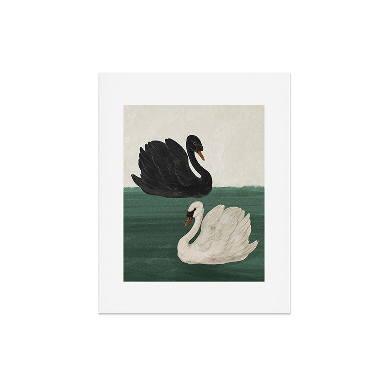 Black Swan White Swan Art Print Gallery Image 3