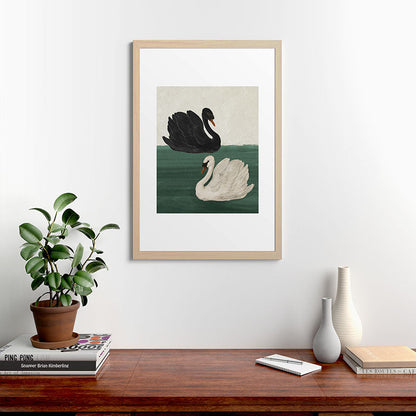 Black Swan White Swan Framed Art Print Gallery Image 28