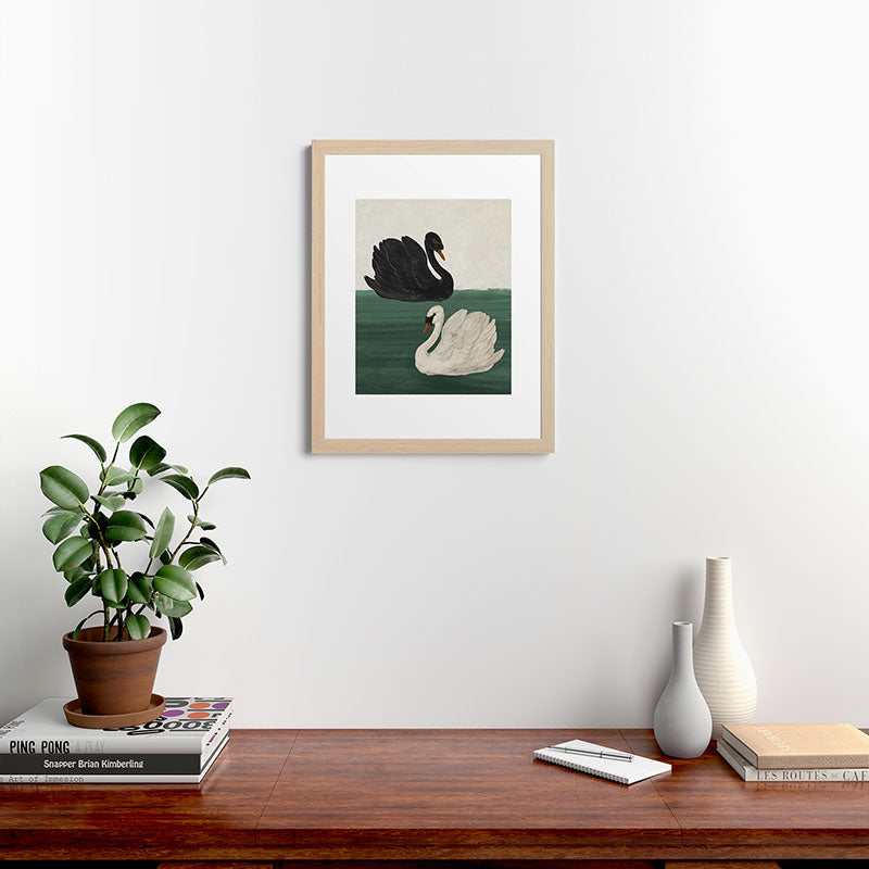 Black Swan White Swan Framed Art Print Gallery Image 27