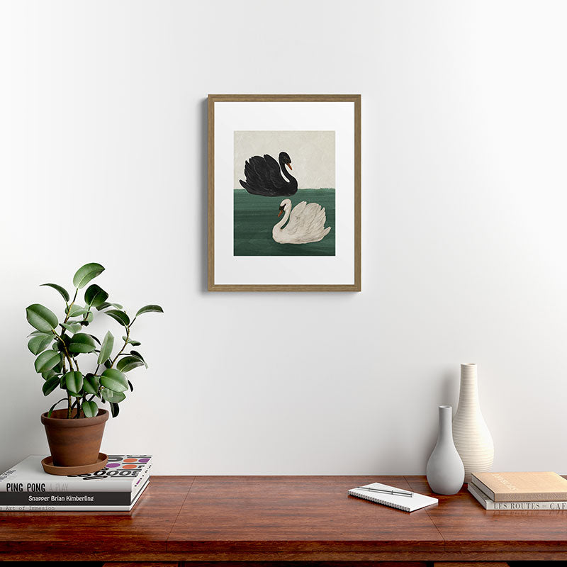 Black Swan White Swan Framed Art Print Gallery Image 7