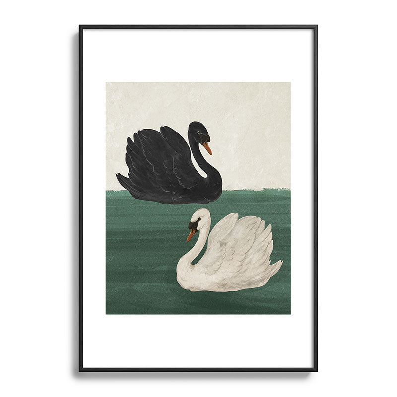 Black Swan White Swan Framed Art Print Gallery Image 50
