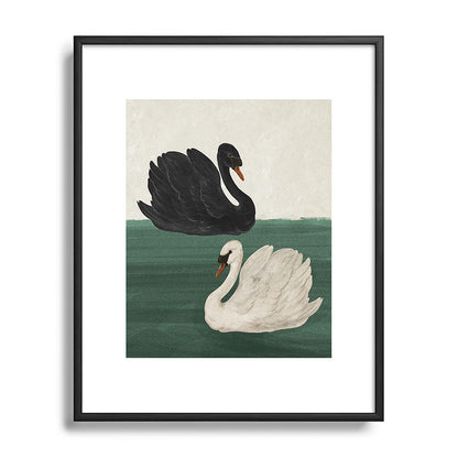 Black Swan White Swan Framed Art Print Gallery Image 49