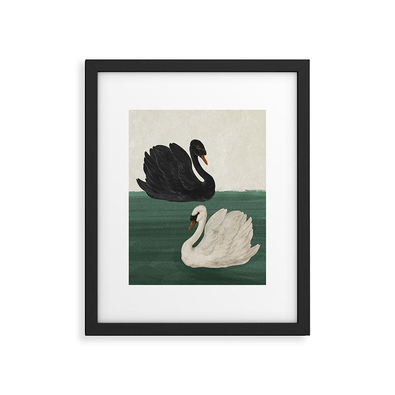 Black Swan White Swan Framed Art Print Gallery Image 4