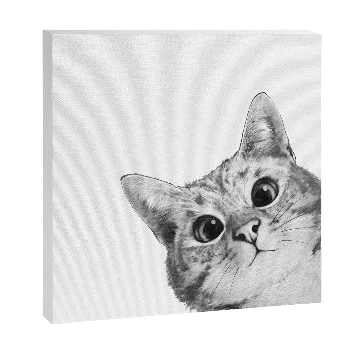 sneaky cat Canvas Print Gallery Image 6