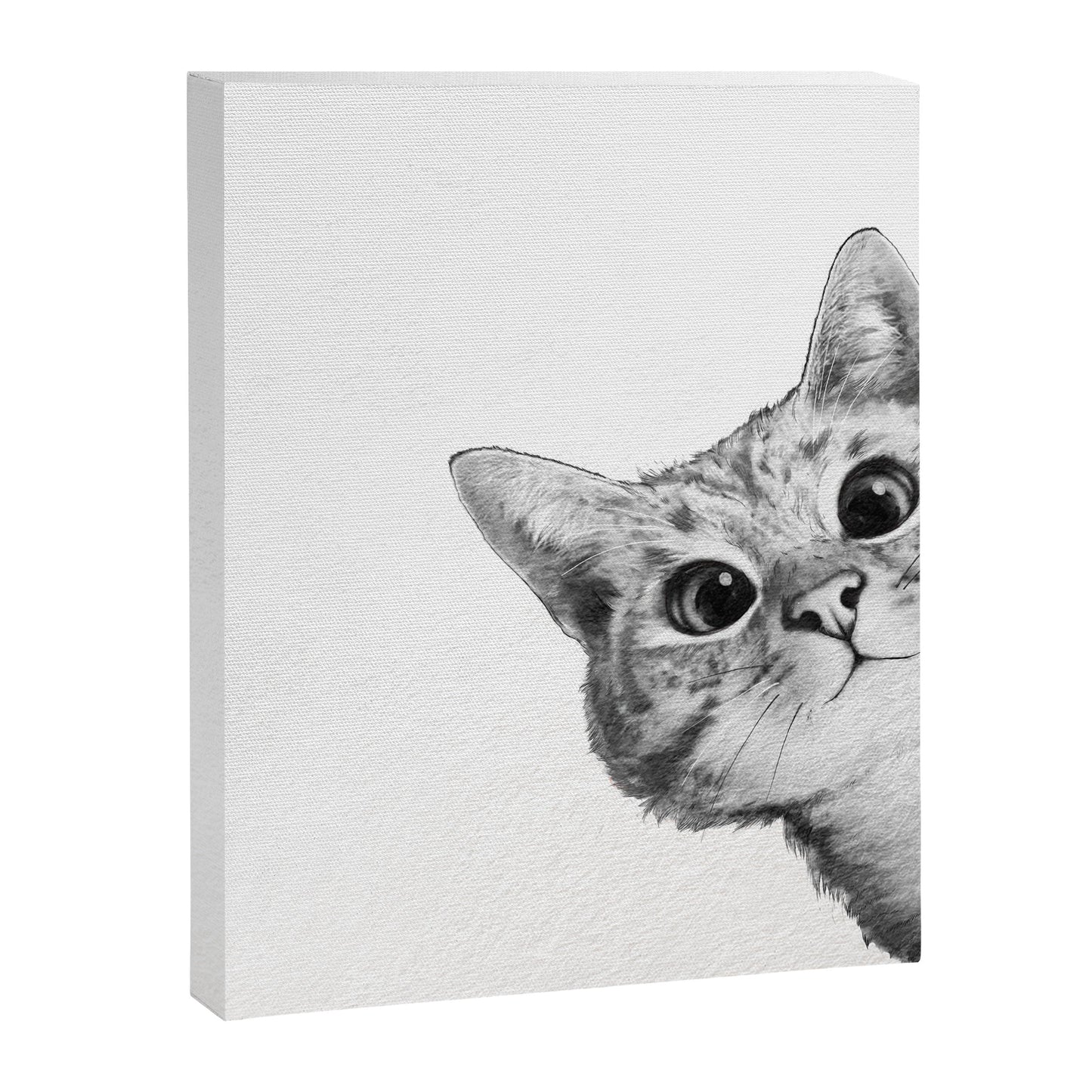 sneaky cat Canvas Print Gallery Image 5