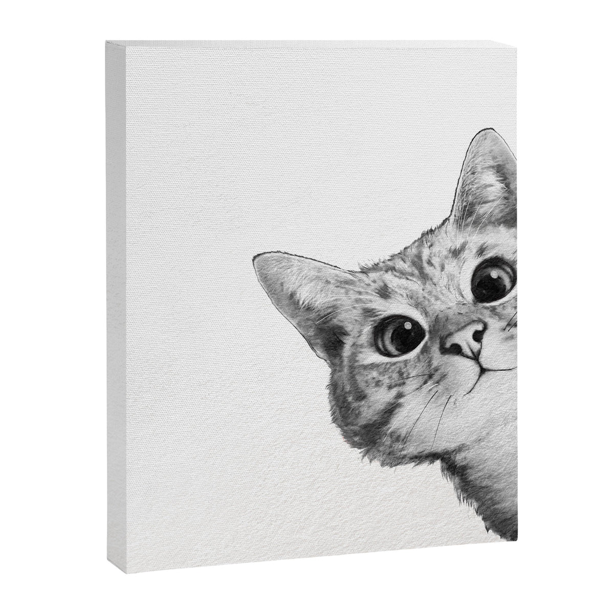 sneaky cat Canvas Print Gallery Image 3