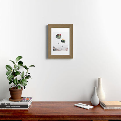 Flying Cacti Framed Art Print Gallery Image 52