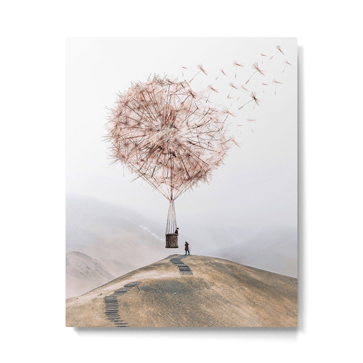 Flying Dandelion Metal Print Gallery Image 1