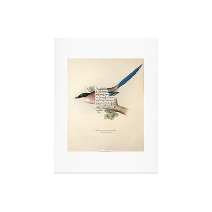 Bird Divinations: Azure Magpie (about: almanacofbirds.org) Art Print Gallery Image 6