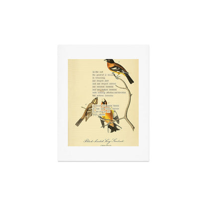 Bird Divinations: Black-headed Song-grosbeak (about: almanacofbirds.org) Art Print Gallery Image 3