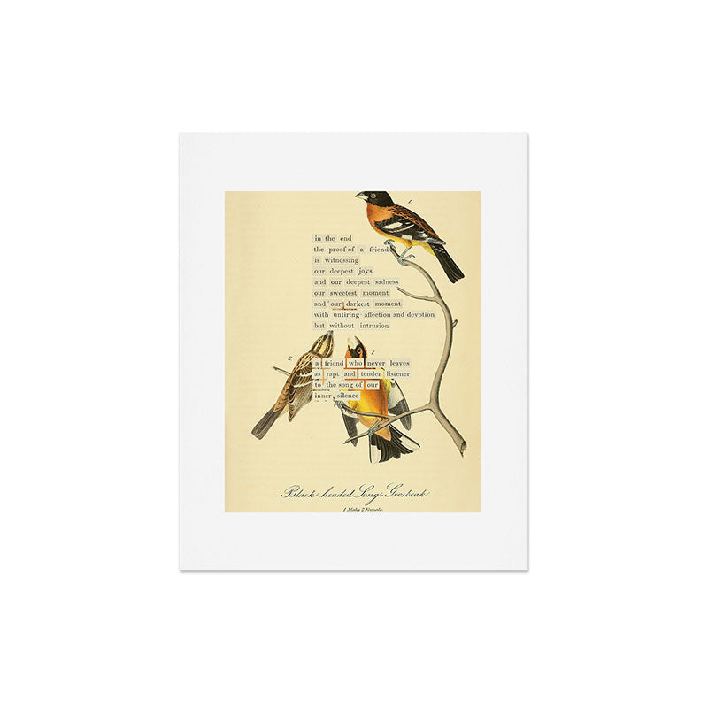 Bird Divinations: Black-headed Song-grosbeak (about: almanacofbirds.org) Art Print Gallery Image 5