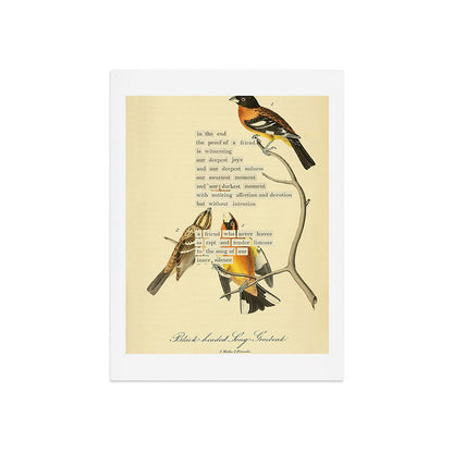 Bird Divinations: Black-headed Song-grosbeak (about: almanacofbirds.org) Art Print Gallery Image 7