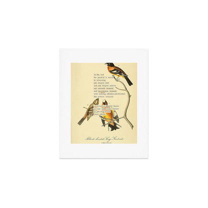 Bird Divinations: Black-headed Song-grosbeak (about: almanacofbirds.org) Art Print Gallery Image 1