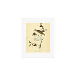 Bird Divinations: Dwarf Thrush (about: almanacofbirds.org) Art Print Gallery Image 1