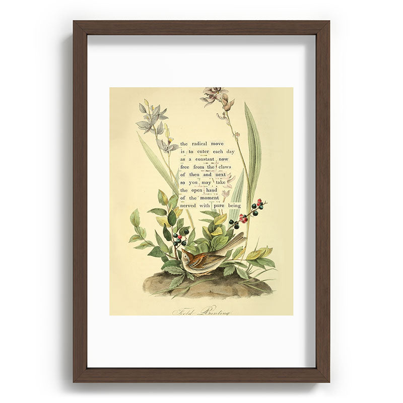 Bird Divinations: Field Bunting (about: almanacofbirds.org) Framed Art Print Gallery Image 65