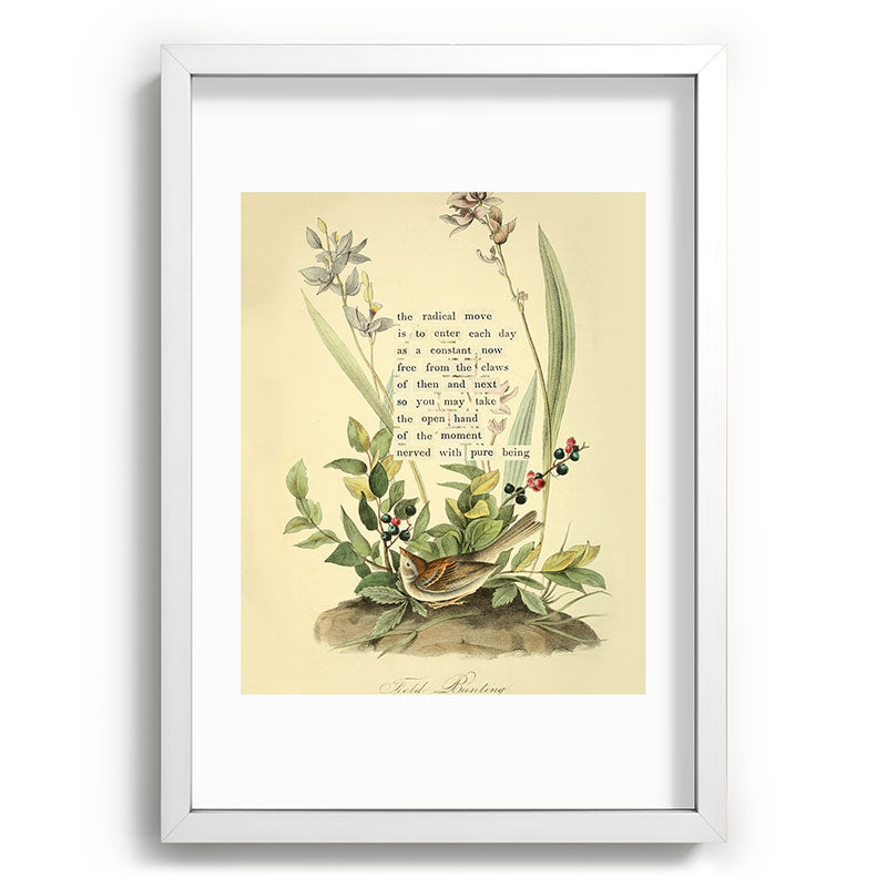 Bird Divinations: Field Bunting (about: almanacofbirds.org) Framed Art Print Gallery Image 77