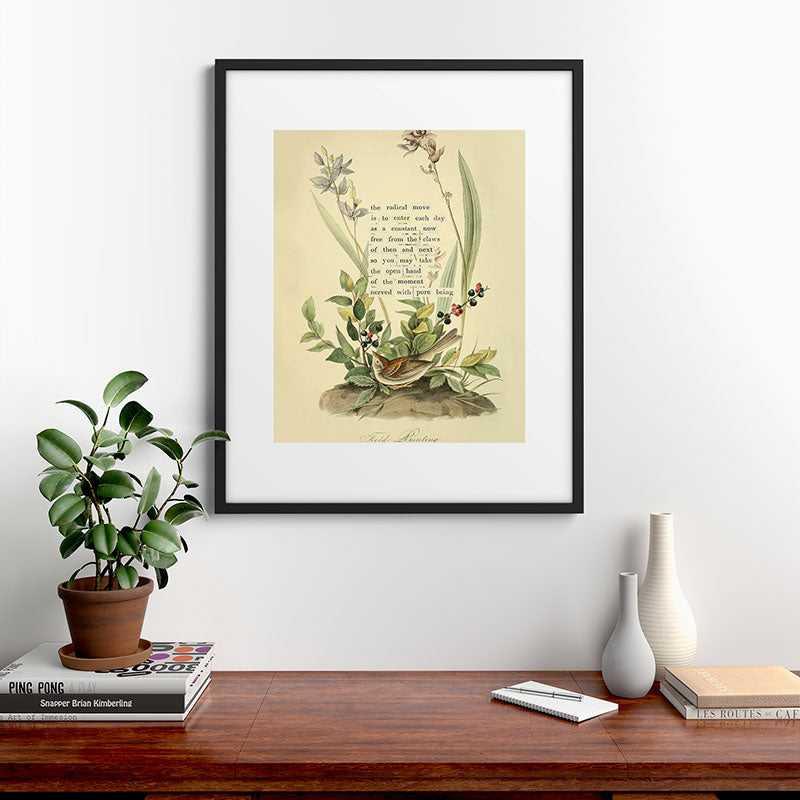 Bird Divinations: Field Bunting (about: almanacofbirds.org) Framed Art Print Gallery Image 7