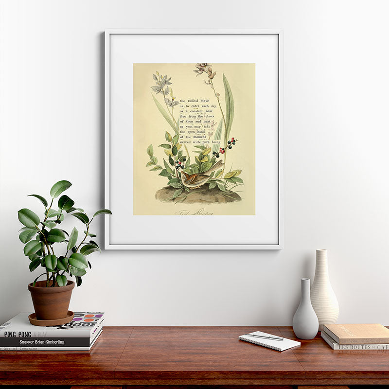 Bird Divinations: Field Bunting (about: almanacofbirds.org) Framed Art Print Gallery Image 28