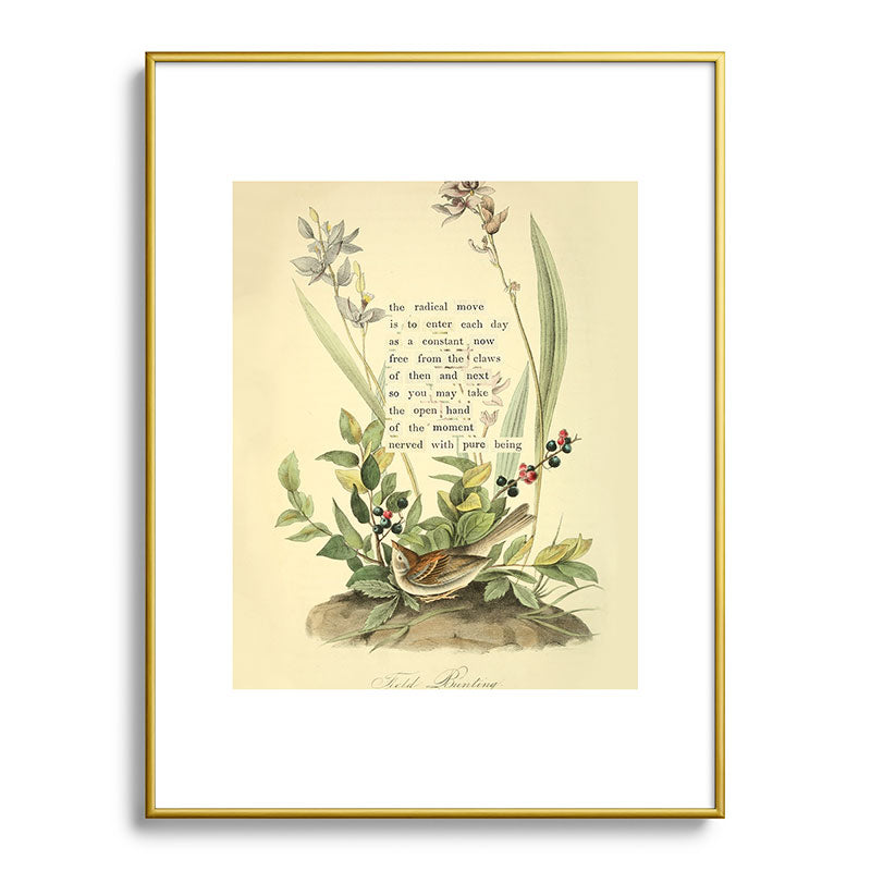 Bird Divinations: Field Bunting (about: almanacofbirds.org) Framed Art Print Gallery Image 91