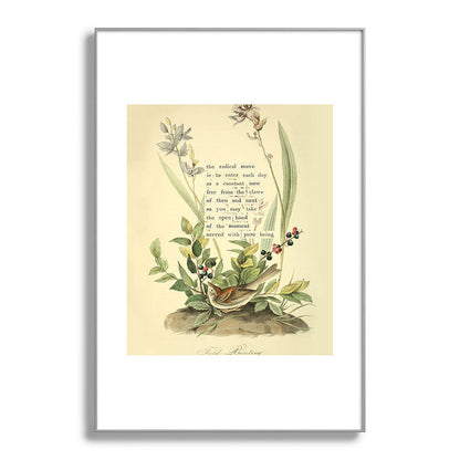 Bird Divinations: Field Bunting (about: almanacofbirds.org) Framed Art Print Gallery Image 100